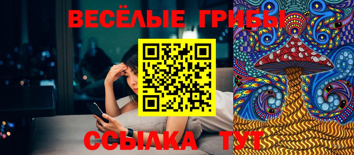 Галлюциногенные грибы GOLDEN TEACHER  Галлюциногенные грибы Psilocybine cubensis  Вход с VPN  Азнакаево 